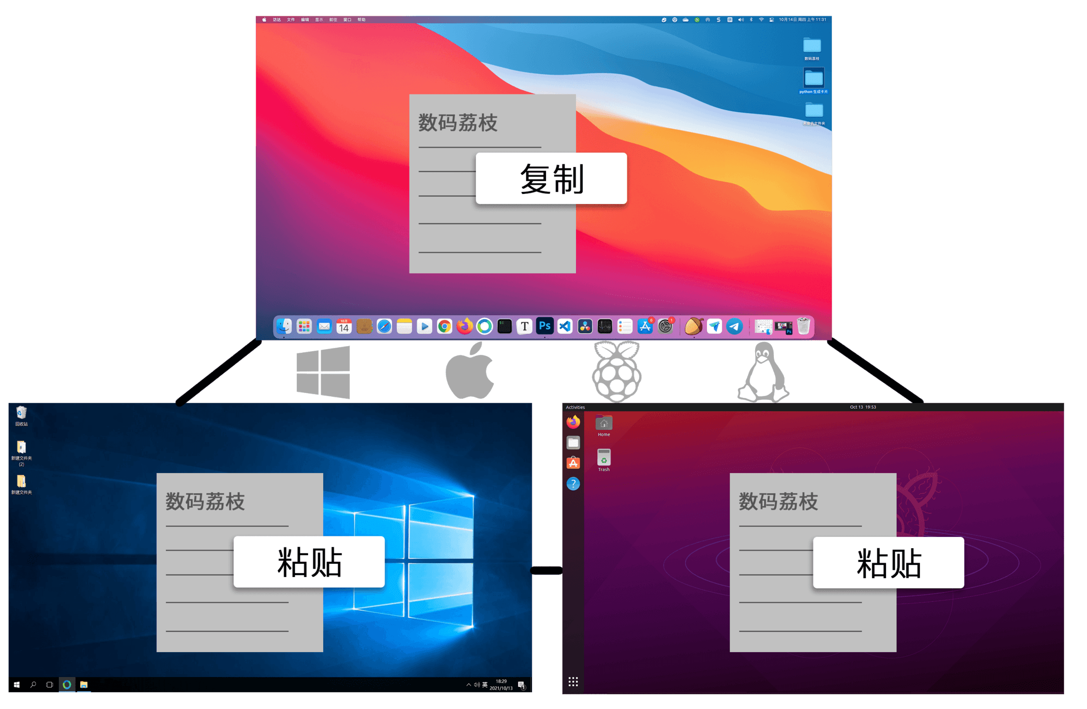 图5